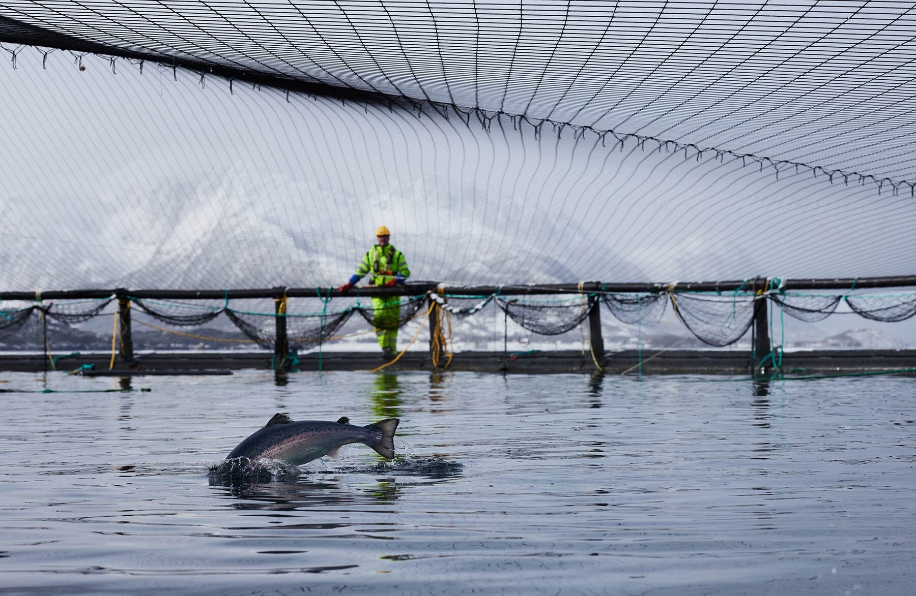 Salmon farm in Norwegian fjord